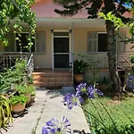 Paralia Nest *