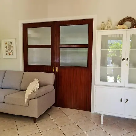 Paralia Nest *