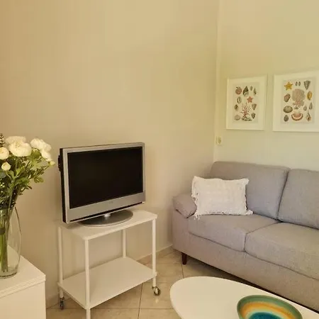 Paralia Nest *
