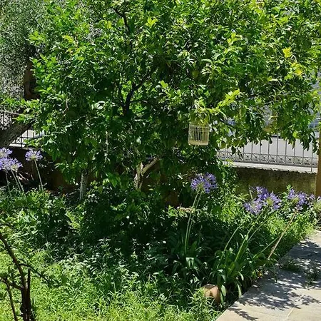 Holiday home Paralia Nest Kalamata