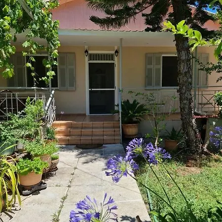 Paralia Nest *